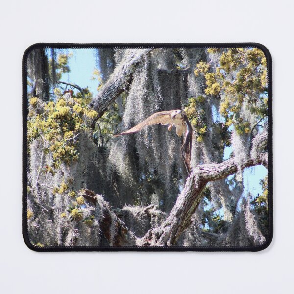 Item preview, Bird in Spanish Moss designed and sold by Cynthia48.