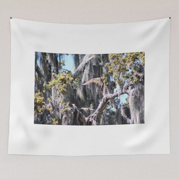 Item preview, Bird in Spanish Moss designed and sold by Cynthia48.
