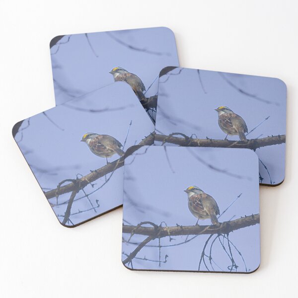 Item preview, Starey Bird. designed and sold by WeatherShot.