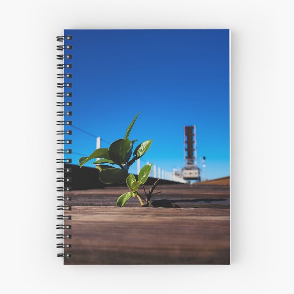 Item preview, Bridge Sapling designed and sold by Fynns Photography.