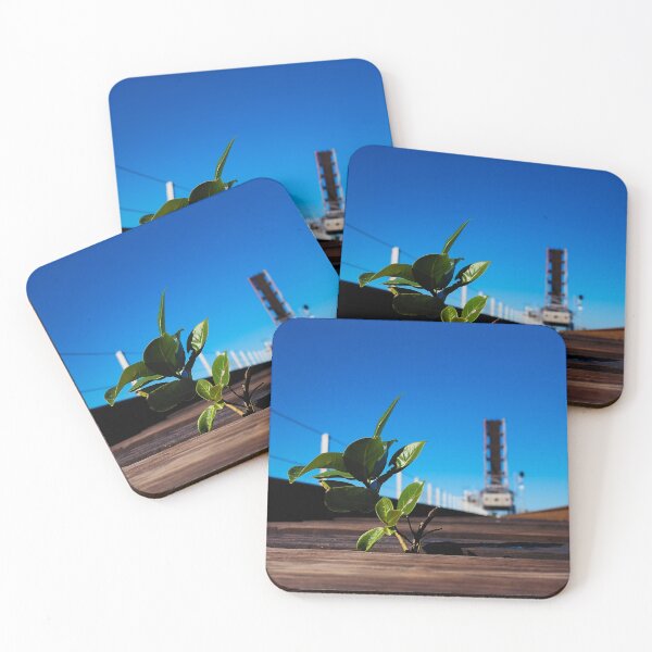Item preview, Bridge Sapling designed and sold by Fynns Photography.