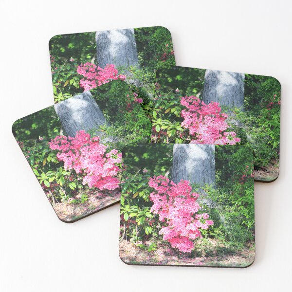 Item preview, Bright Pink Azalea in Bloom designed and sold by Cynthia48.