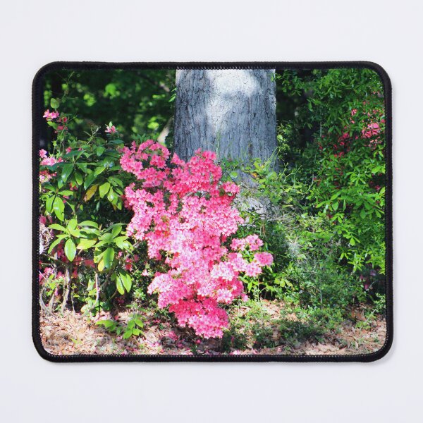 Item preview, Bright Pink Azalea in Bloom designed and sold by Cynthia48.