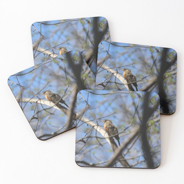 Item preview, Rockin Robin designed and sold by WeatherShot.