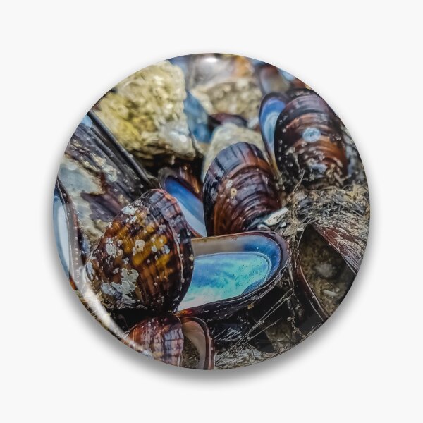 Item preview, Low Tide v6 designed and sold by OddLilFox.
