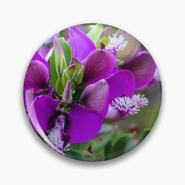 Item preview, Vibrant Purple Flower Bloom On Flowering Shrub Close-Up With Green Foliage And Bokeh Background designed and sold by Nmallia.