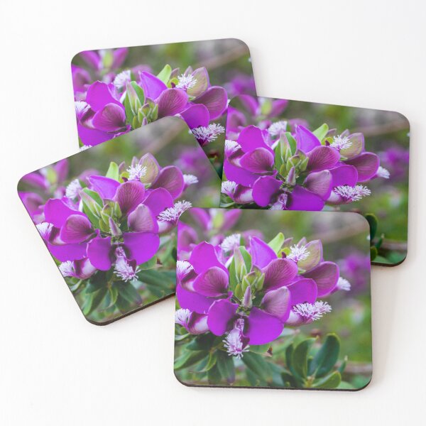 Item preview, Vibrant Purple Flower Bloom On Flowering Shrub Close-Up With Green Foliage And Bokeh Background designed and sold by Nmallia.