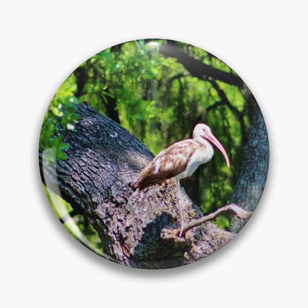 Item preview, Ibis on a Tree Branch designed and sold by Cynthia48.