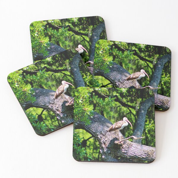 Item preview, Ibis on a Tree Branch designed and sold by Cynthia48.