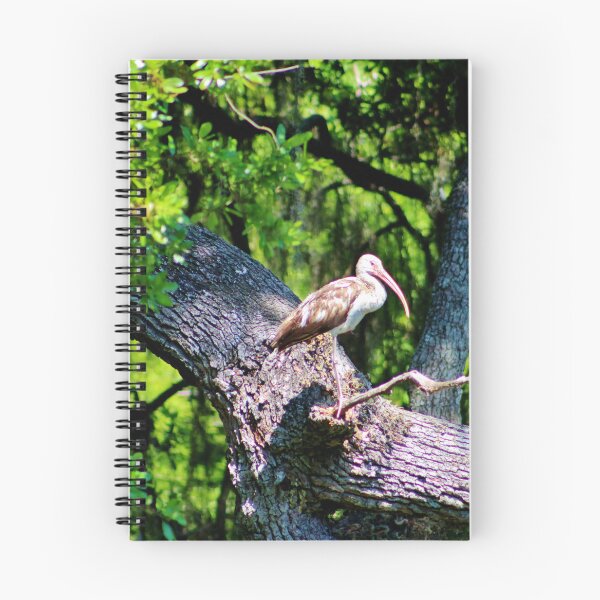 Item preview, Ibis on a Tree Branch designed and sold by Cynthia48.