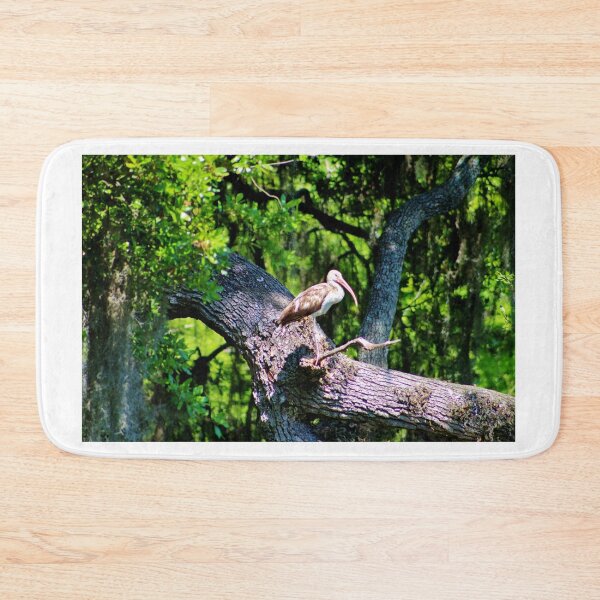 Item preview, Ibis on a Tree Branch designed and sold by Cynthia48.