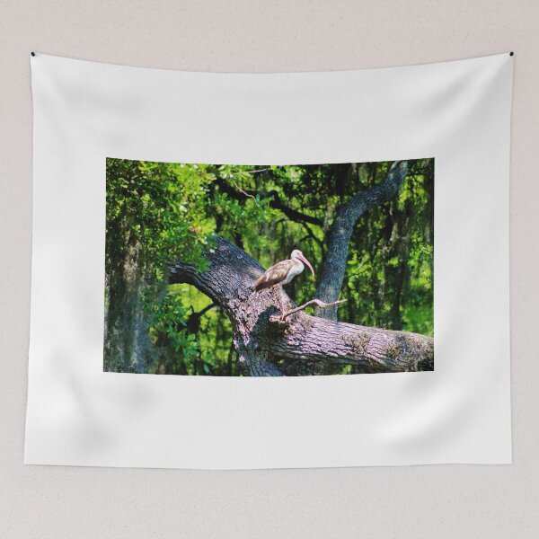 Item preview, Ibis on a Tree Branch designed and sold by Cynthia48.