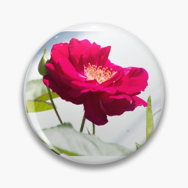 Item preview, beautiful red designed and sold by derekrich.