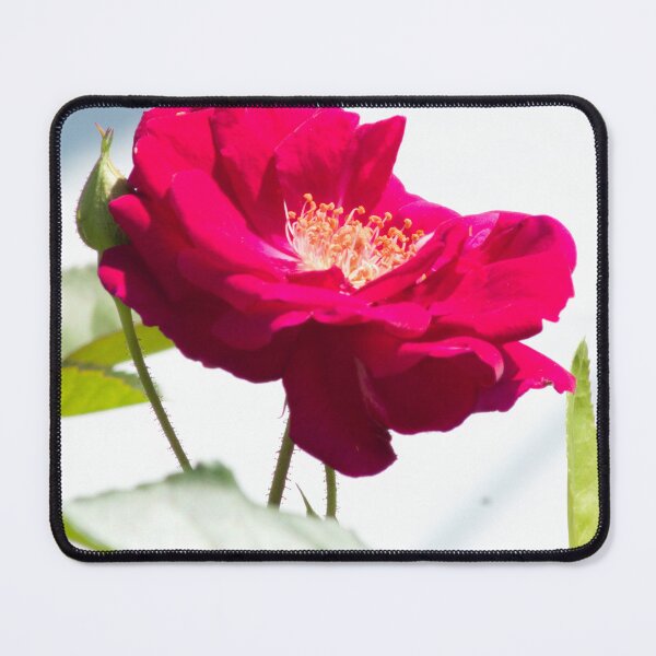 Item preview, beautiful red designed and sold by derekrich.