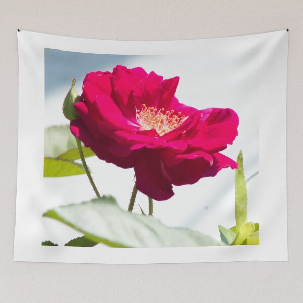Item preview, beautiful red designed and sold by derekrich.