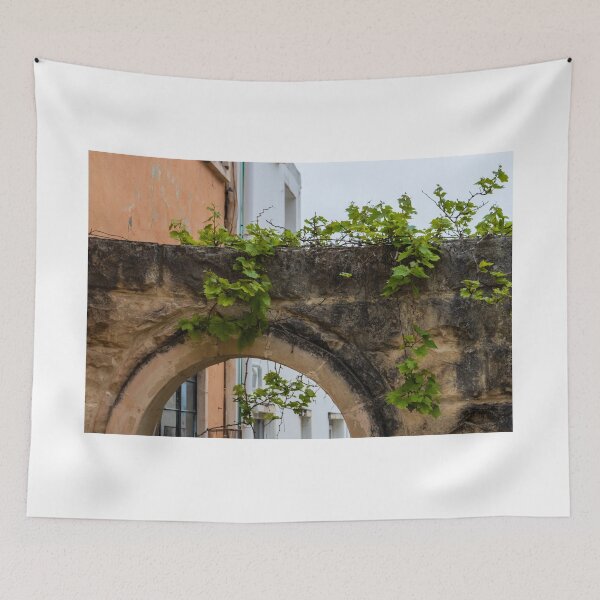 Item preview, Historic Stone Arch With Green Vines Climbing Old Wall and Mediterranean Urban Architecture designed and sold by Nmallia.