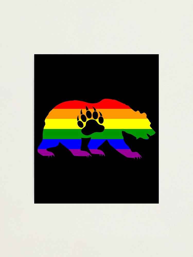 Bear Cub Gay Pride Flag Colors Culture LGBT Young T-Shirt