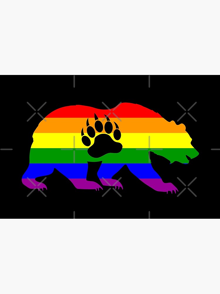 Bear Cub Gay Pride Flag Colors Culture LGBT Young T-Shirt