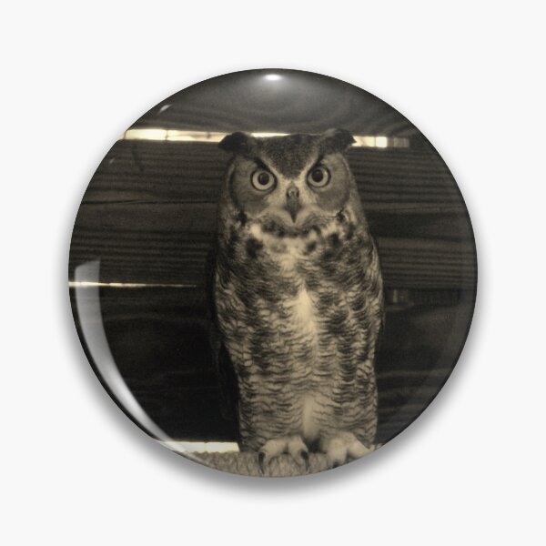 Item preview, Owl Perched in Rustic Enclosure designed and sold by Cynthia48.