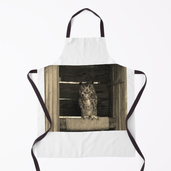 Item preview, Owl Perched in Rustic Enclosure designed and sold by Cynthia48.