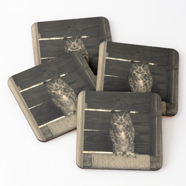 Item preview, Owl Perched in Rustic Enclosure designed and sold by Cynthia48.