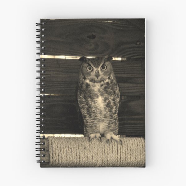 Item preview, Owl Perched in Rustic Enclosure designed and sold by Cynthia48.