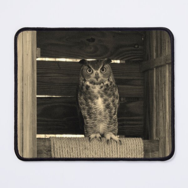 Item preview, Owl Perched in Rustic Enclosure designed and sold by Cynthia48.