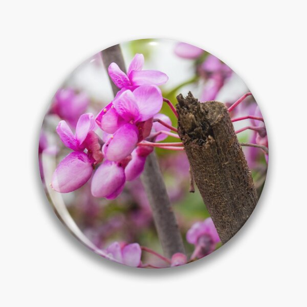 Item preview, Pink Redbud Blossoms On Tree Branch Close-Up Spring Flowers And Delicate Garden Blooms designed and sold by Nmallia.