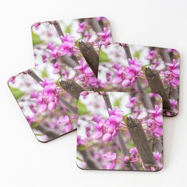 Item preview, Pink Redbud Blossoms On Tree Branch Close-Up Spring Flowers And Delicate Garden Blooms designed and sold by Nmallia.