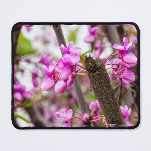 Item preview, Pink Redbud Blossoms On Tree Branch Close-Up Spring Flowers And Delicate Garden Blooms designed and sold by Nmallia.