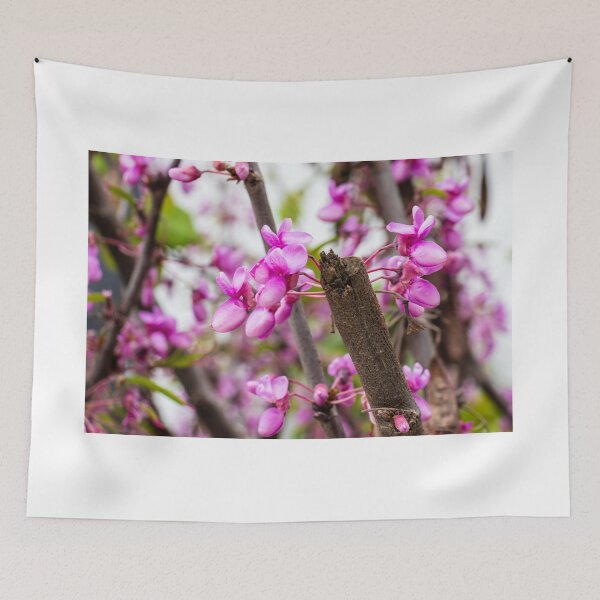 Item preview, Pink Redbud Blossoms On Tree Branch Close-Up Spring Flowers And Delicate Garden Blooms designed and sold by Nmallia.