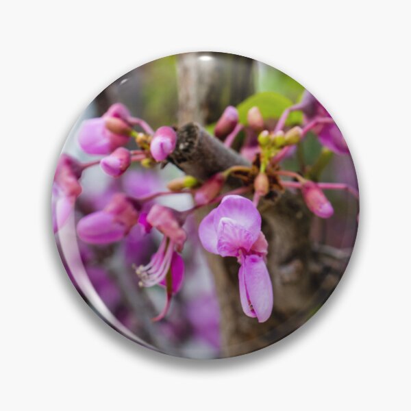 Item preview, Pink Redbud Blossoms On Tree Branch Close-Up Spring Flowers And Delicate Garden Blooms designed and sold by Nmallia.