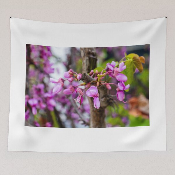 Item preview, Pink Redbud Blossoms On Tree Branch Close-Up Spring Flowers And Delicate Garden Blooms designed and sold by Nmallia.