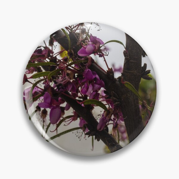 Item preview, Purple Tree Blossoms On Branch With Delicate Spring Flowers Against Soft Urban Sky designed and sold by Nmallia.