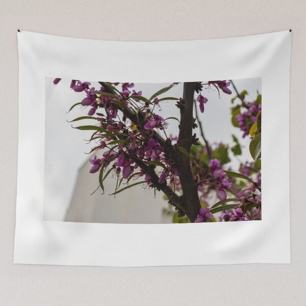 Item preview, Purple Tree Blossoms On Branch With Delicate Spring Flowers Against Soft Urban Sky designed and sold by Nmallia.