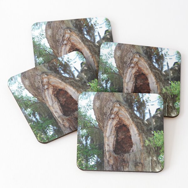 Item preview, Old Tree with Hollow Trunk designed and sold by Cynthia48.