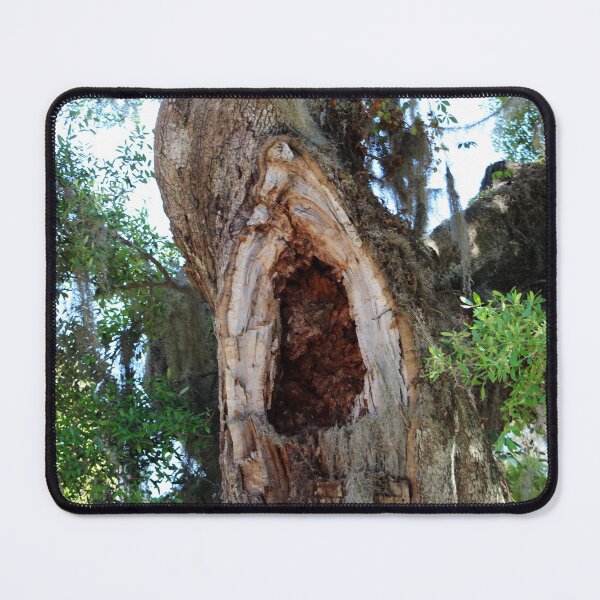 Item preview, Old Tree with Hollow Trunk designed and sold by Cynthia48.