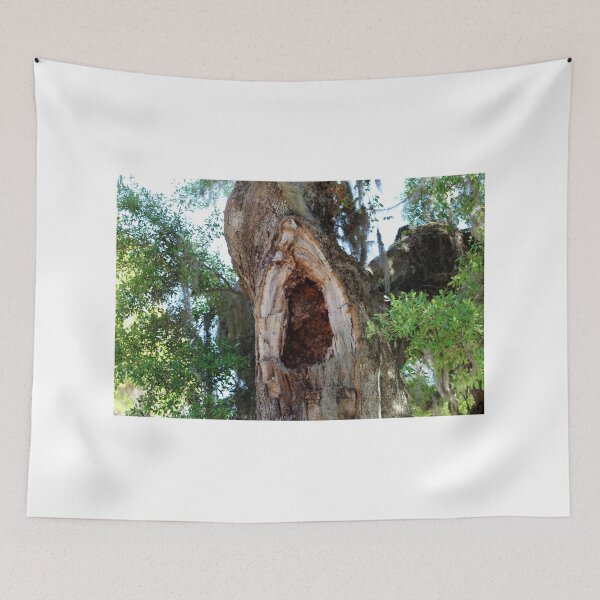 Item preview, Old Tree with Hollow Trunk designed and sold by Cynthia48.