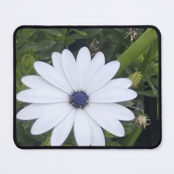Item preview, Original Flower Photo – A2 Botanical Print – Real Flower Photography No AI designed and sold by CamirCreations.