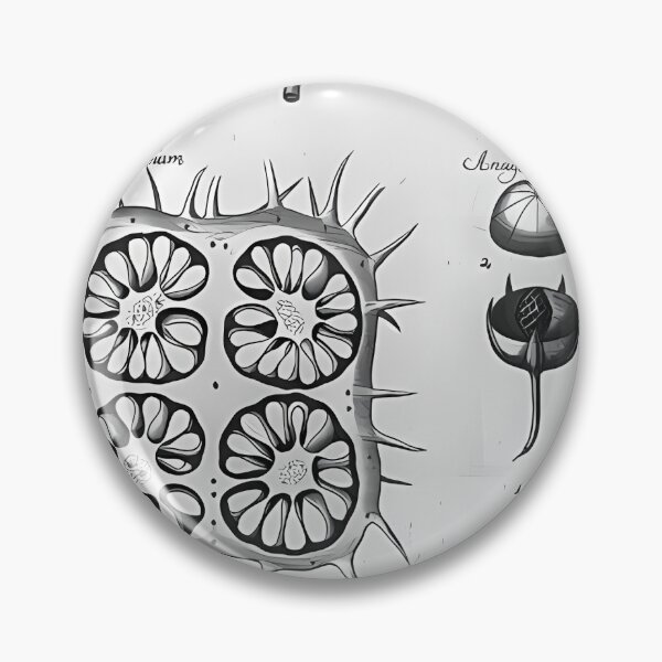 Item preview, Seed Structure Study | Vintage Medical designed and sold by GammaRay.