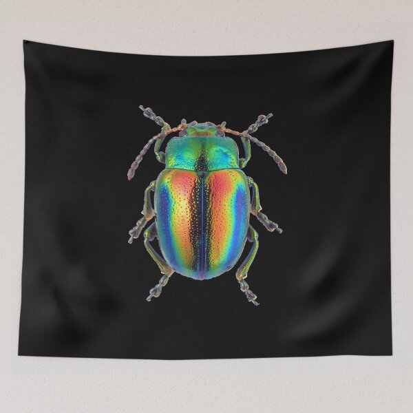 Item preview, LEAF BEETLE BUG (showing iridescence) Chrysolina fastuosa  designed and sold by MorningFive.