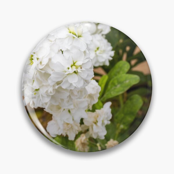 Item preview, Cluster of White Stock Flowers in Bloom With Green Foliage Close-Up Spring Garden designed and sold by Nmallia.