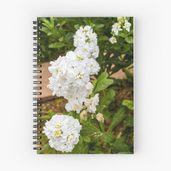 Item preview, Cluster of White Stock Flowers in Bloom With Green Foliage Close-Up Spring Garden designed and sold by Nmallia.
