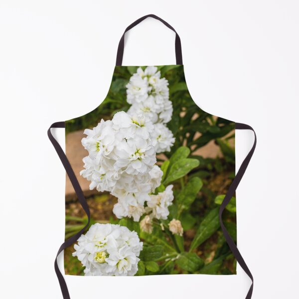 Item preview, Cluster of White Stock Flowers in Bloom With Green Foliage Close-Up Spring Garden designed and sold by Nmallia.