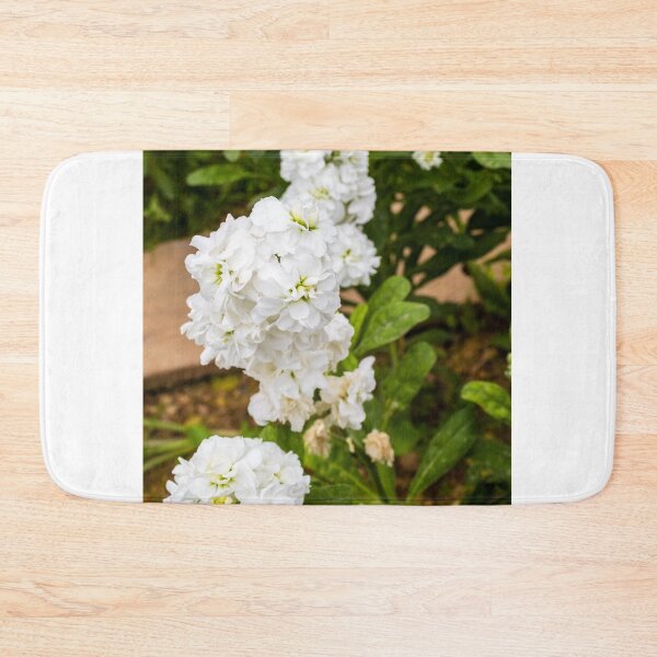 Item preview, Cluster of White Stock Flowers in Bloom With Green Foliage Close-Up Spring Garden designed and sold by Nmallia.