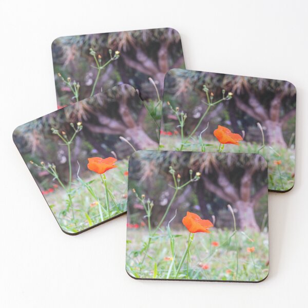 Item preview, Red Poppy Single Bloom In Meadow With Soft Bokeh Background And Grass designed and sold by Nmallia.