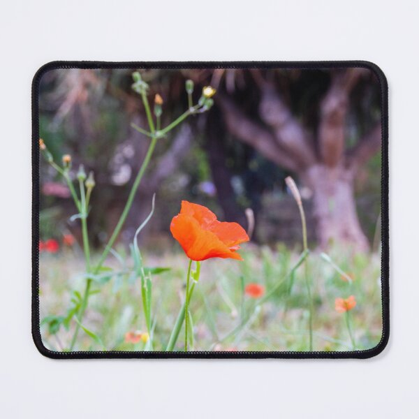 Item preview, Red Poppy Single Bloom In Meadow With Soft Bokeh Background And Grass designed and sold by Nmallia.