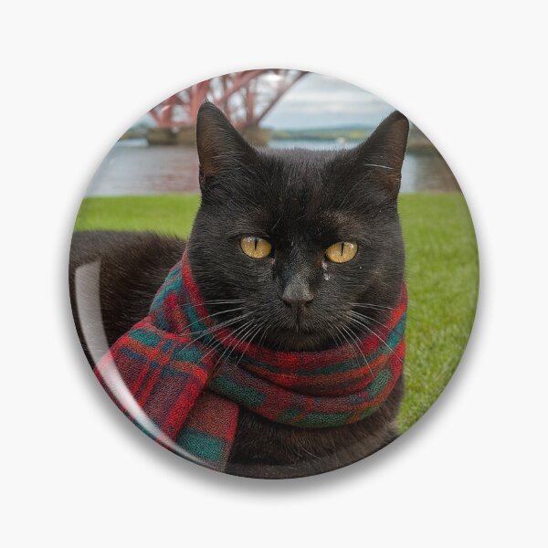 Item preview, Sooty the Solid Radio Cat at the Forth Bridge designed and sold by Sooty's Cosy Corner.