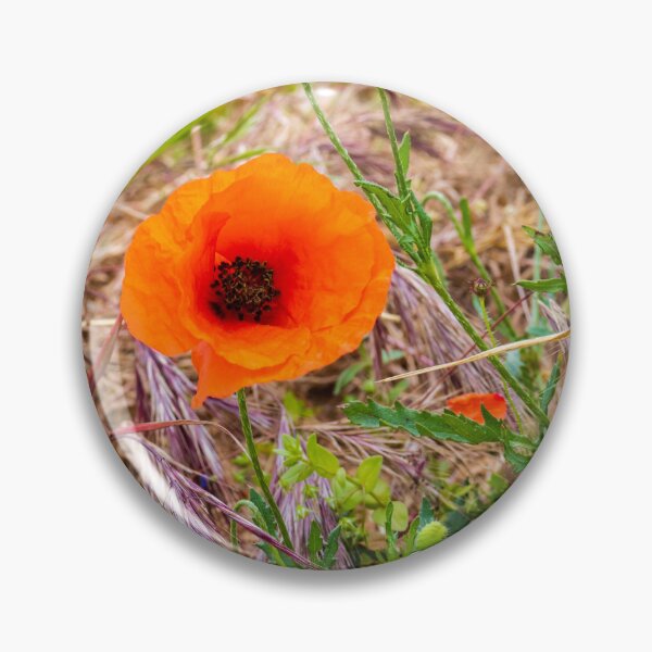 Item preview, Vibrant Orange Poppy Blooming Among Wild Grasses In A Sunlit Meadow Landscape designed and sold by Nmallia.