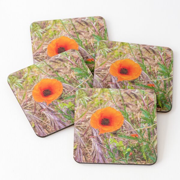 Item preview, Vibrant Orange Poppy Blooming Among Wild Grasses In A Sunlit Meadow Landscape designed and sold by Nmallia.